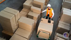 Técnico em Logística: tudo o que você precisa saber