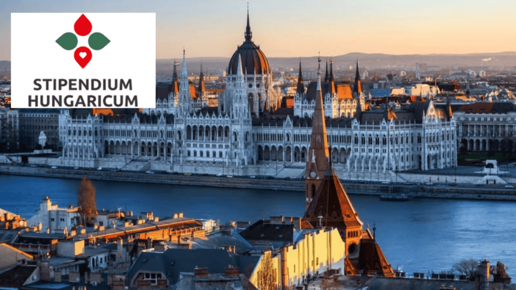 cursos gratuitos - bolsas de estudo - graduação - mestrado - doutorado