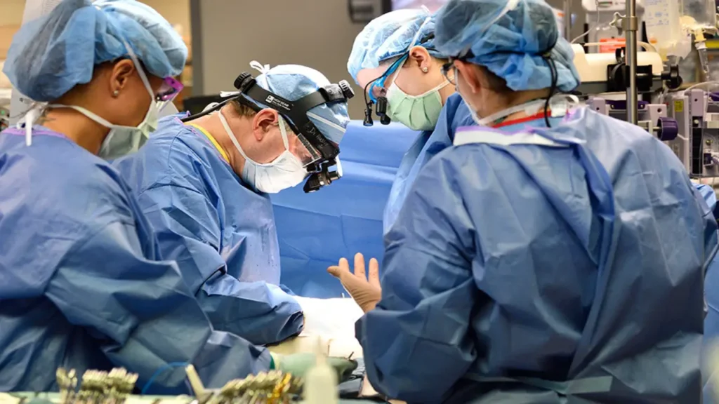 Brasil vive um boom histórico de novos cursos de Medicina: MEC autoriza milhares de vagas, o Nordeste lidera a expansão e, até 2030, o país contará com cerca de 1,2 milhão de profissionais ativos