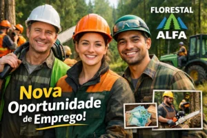 setor florestal anuncia vagas de emprego com treinamento prático