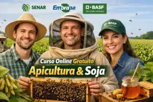 Senar, Embrapa e Basf lançam capacitação online com curso gratuito sobre integração entre apicultura e sojicultura