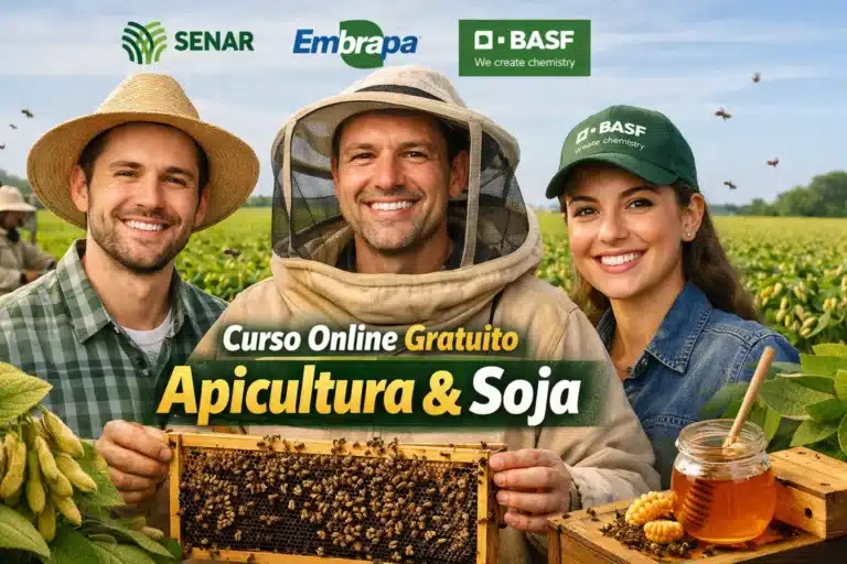 Senar, Embrapa e Basf lançam capacitação online com curso gratuito sobre integração entre apicultura e sojicultura