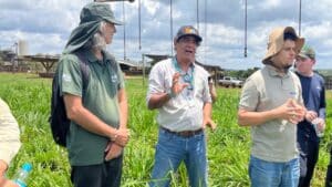 Curso gratuito em agricultura regenerativa abre inscrições em Minas e promete capacitar produtores para enfrentar a seca e reduzir custos na produção de grãos