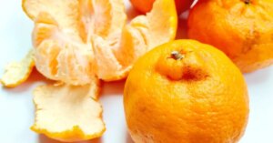Instituições de ensino confirmam a forma correta de escrever poncã e esclarecem dúvidas sobre tangerinas, mexericas e suas variações para ajudar na comunicação do dia a dia