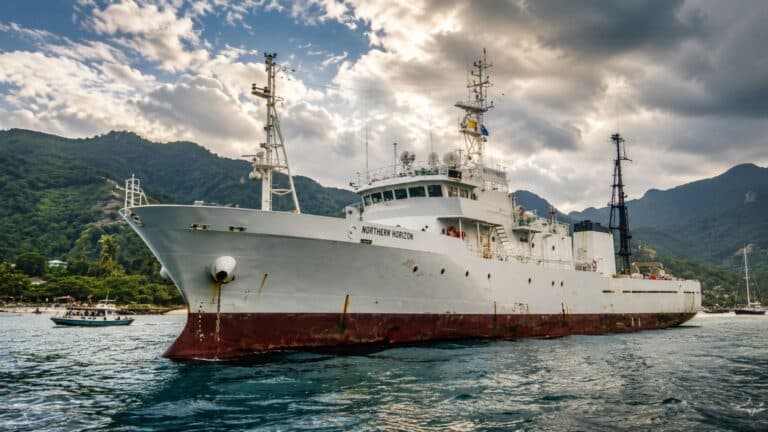 Navio Bandero chega ao Brasil e transforma Ilhabela em sala de aula sobre conservação marinha e pesca de krill, conectando visitantes à natureza e à migração de baleias